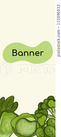 Green banner vector with different types cabbage. Background vertical for harvest vegetables organic Green banner vector with different types cabbage. Background vertical for harvest vegetables organic 115896832