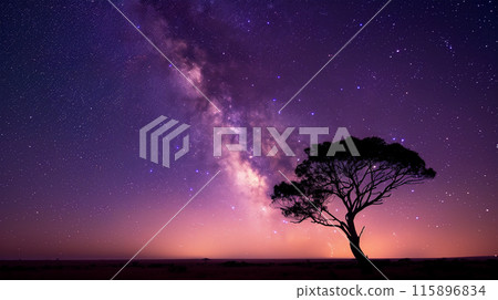A tree and the Milky Way 115896834