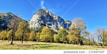 maple trees at Ahornboden, Karwendel mountains, Tyrol, Austria maple trees at Ahornboden, Karwendel mountains, Tyrol, Austria 115897397