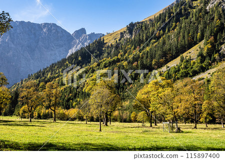 maple trees at Ahornboden, Karwendel mountains, Tyrol, Austria maple trees at Ahornboden, Karwendel mountains, Tyrol, Austria 115897400
