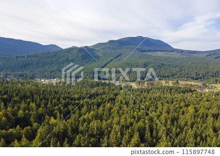 Aerial view of green pine forest with dark spruce trees covering mountain hills. Nothern woodland scenery from above 115897748