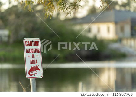 Warning sign about alligator in water in Florida park. Caution and safety during walking near waterfront Warning sign about alligator in water in Florida park. Caution and safety during walking near waterfront 115897766
