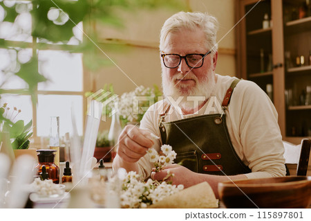 Mature perfumer sorting dried daisies to create concentrated essential oil Mature perfumer sorting dried daisies to create concentrated essential oil 115897801