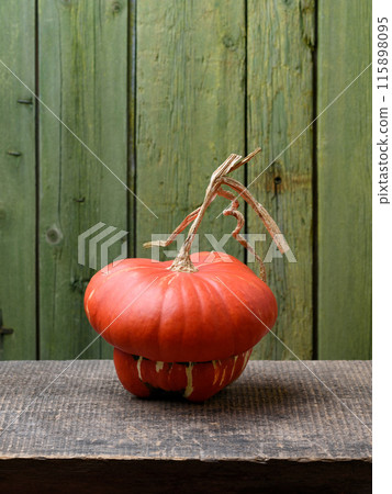 Turban Squash or Turks Turban Pumpkin on an Old Wooden Table Turban Squash or Turks Turban Pumpkin on an Old Wooden Table 115898095