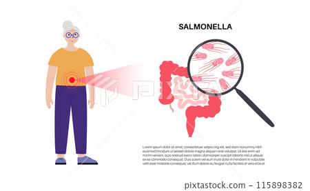 .Salmonella Typhimurium Cells .Salmonella Typhimurium Cells 115898382