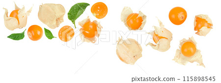 Cape gooseberry or physalis isolated on white background. Top view with copy space for your text. Flat lay Cape gooseberry or physalis isolated on white background. Top view with copy space for your text. Flat lay 115898545