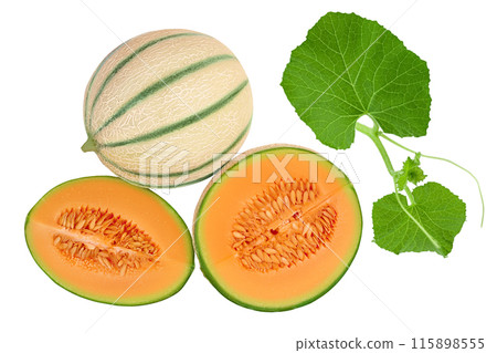 Cantaloupe melon isolated on white background with full depth of field. Top view. Flat lay 115898555