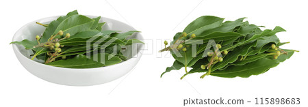 Fresh Laurel leaves in ceramic bowl isolated on white background. Green bay leaf 115898683