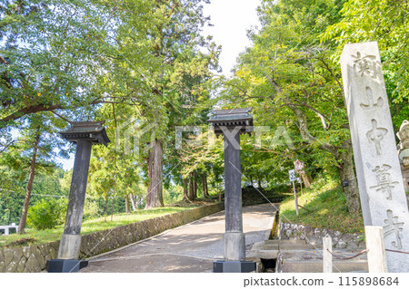 中尊寺參觀路線：江戶時代種植的300年樹齡的杉樹遮蔭迎接參拜者，營造出莊嚴的氛圍 115898684