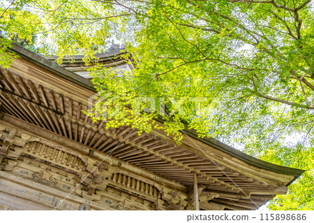 Chusonji Temple Benkei Hall Maple Trees - Wooden statues of Yoshitsune and Benkei are enshrined. The coffered ceiling inside the hall is painted with over 60 kinds of flowers. Chusonji Temple Benkei Hall Maple Trees - Wooden statues of Yoshitsune and Benkei are enshrined. The coffered ceiling inside the hall is painted with over 60 kinds of flowers. 115898686