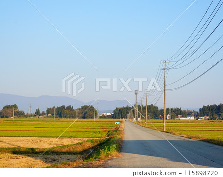 Scenery of rice fields and utility poles in autumn in Oishida Town, Yamagata Prefecture Scenery of rice fields and utility poles in autumn in Oishida Town, Yamagata Prefecture 115898720