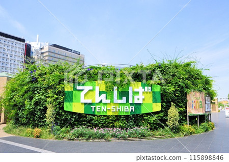 Tenshiba 115898846
