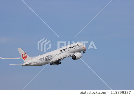 Airliner taking off and rising 115899327