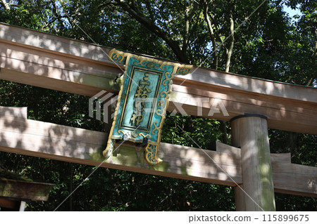 三輪明神社被鳥居包圍 三輪明神社被鳥居包圍 115899675