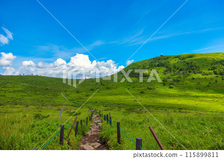屋島原濕地（7月，晴） 115899811