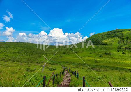 屋島原濕地（7月，晴） 115899812