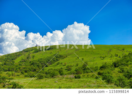 屋島原濕地（7月，晴） 115899814