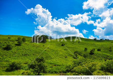 屋島原濕地(7月,晴) 屋島原濕地(7月,晴) 115899815