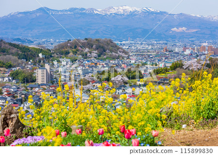 福島縣福島市的春天，福島的起源花見山 115899830