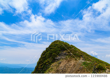 初夏群馬縣谷川嶽山頂的莧臣 115900486