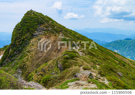 Tomano-mimi, summit of Mt. Tanigawa in early summer, Gunma Prefecture 115900506