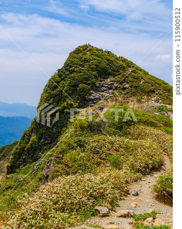 Tomano-mimi, summit of Mt. Tanigawa in early summer, Gunma Prefecture 115900512