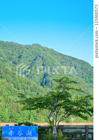 赤谷湖風景區猿峽新綠季節 115900573