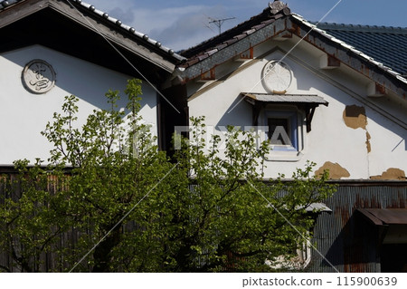 鳥取：四個季節的散步 115900639