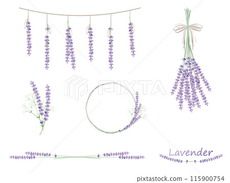Natural lavender illustration material set 115900754