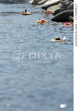 Tottori four seasons walk Mochigase no Nagashi Hina 115900817