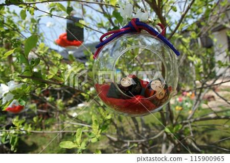 Tottori four seasons walk Mochigase no Nagashi Hina 115900965