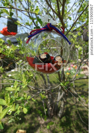 Tottori four seasons walk Mochigase no Nagashi Hina 115900967