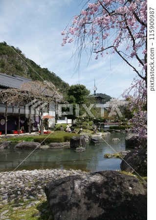 Tottori four seasons walk Mochigase no Nagashi Hina 115900987