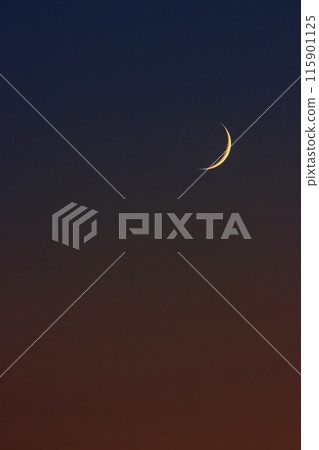 Crescent moon in the sunset sky 115901125