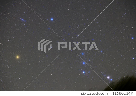 秋天的星空:獵戶座升起 秋天的星空:獵戶座升起 115901147