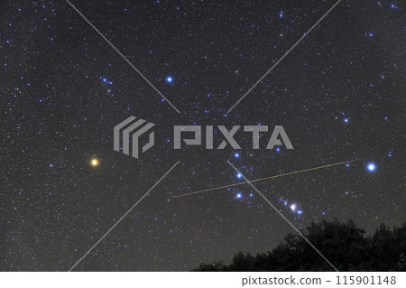秋天的星空:獵戶座冉冉升起的流星 秋天的星空:獵戶座冉冉升起的流星 115901148