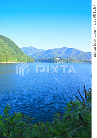 Akatani Lake Scenic Spot Sarugakyo Season of fresh greenery 115901167