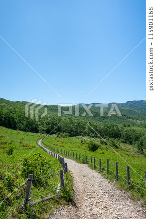 Nozori Pass Promenade, Nozori Lake 115901168
