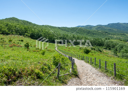 野峠長廊 野峠湖 野峠長廊 野峠湖 115901169
