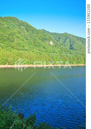 赤谷湖風景區猿峽新綠季節 115901200