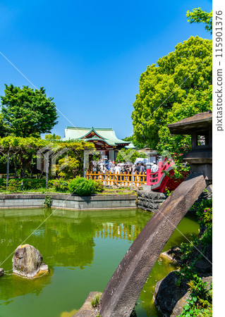 [Tokyo] Kameido Tenjin Shrine is beautiful with its fresh greenery 115901376