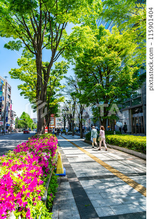 [Tokyo] The fresh greenery in front of Kinshicho Station 115901404