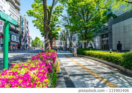 [Tokyo] The fresh greenery in front of Kinshicho Station 115901406