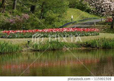 Tottori Four seasons walk Spring Flower Corridor Tottori Four seasons walk Spring Flower Corridor 115901509