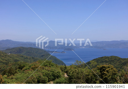 從貞岬半島的瀨戶風之丘公園眺望宇和海和八幡濱 115901941