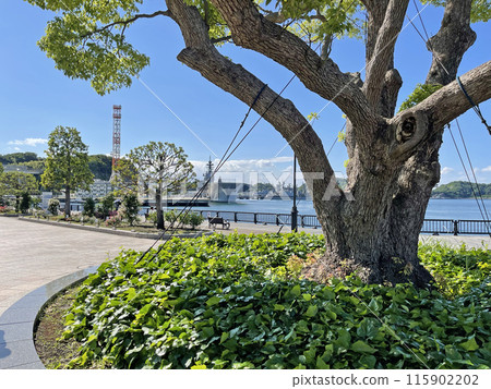 Yokosuka Verny Park, Shioiri-cho, Yokosuka City, Kanagawa Prefecture 115902202