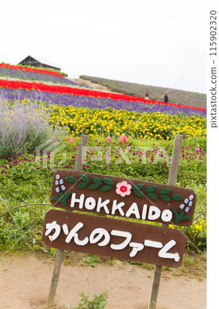 「北海道」菅野農場/花田風景 富良野 115902320