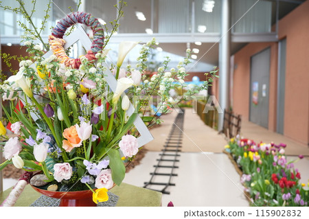 礪波市鬱金香四季彩館鬱金香展呼喚春天2 礪波市鬱金香四季彩館鬱金香展呼喚春天2 115902832