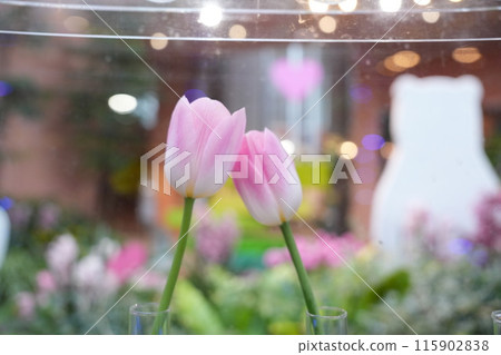 Tonami City Tulip Shikisaikan 1 Tonami City Tulip Shikisaikan 1 115902838