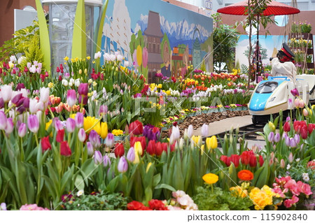 礪波市鬱金香四季彩館鬱金香展呼喚春天 6 115902840